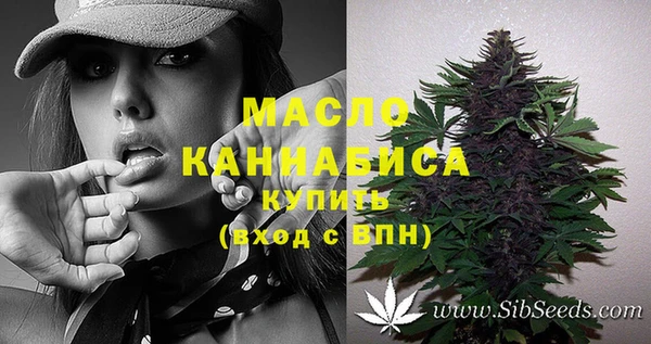 кокс Ельня