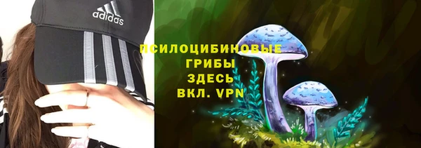 соль курить ск Елизово