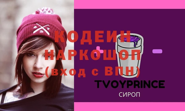 молекула духа Елабуга