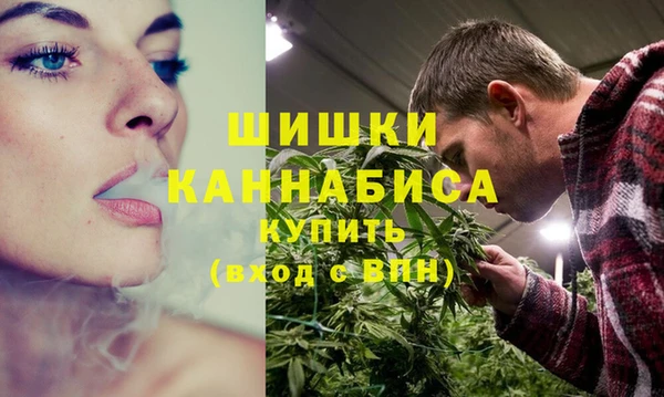 молекула духа Елабуга