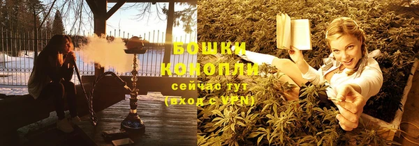 молекула духа Елабуга