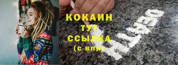 молекула духа Елабуга