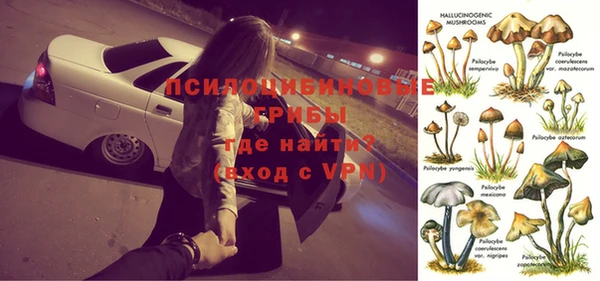 кокс Ельня