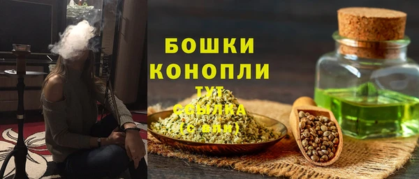 кокс Ельня
