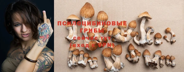 кокс Ельня